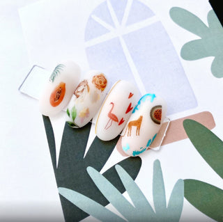 IBDI NAILS 516