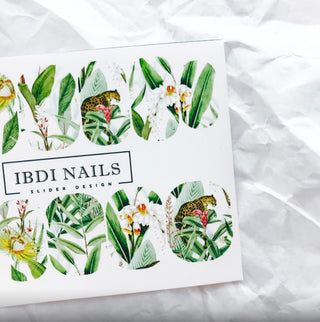 IBDI NAILS 518