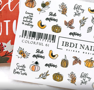 IBDI NAILS COLORFUL 61