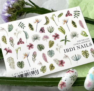 IBDI NAILS COLORFUL 151