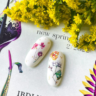 IBDI NAILS COLORFUL 161