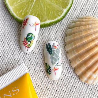 IBDI NAILS COLORFUL 163