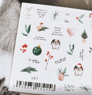 COLORFUL 197 IBDI NAILS