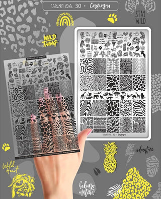 30 SAFARI stamping schablone + design blatt TAKIDA