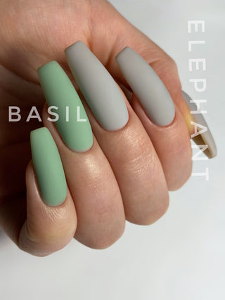 BASIL - Tint Base Coat 15ml HEYLOVE
