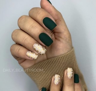 Iguana - Color Gel 15ml AMERICAN CREATOR
