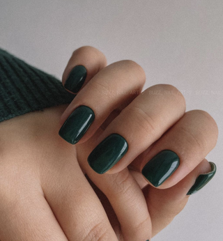 Iguana - Color Gel 15ml AMERICAN CREATOR