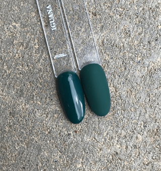 Iguana - Color Gel 15ml AMERICAN CREATOR