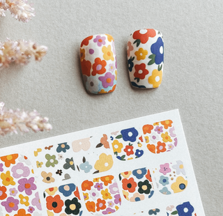 10 COLOR - FÜR PEDIKÜRE IBDI NAILS
