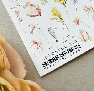 223 COLORFUL - IBDI NAILS
