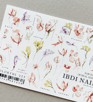 223 COLORFUL - IBDI NAILS