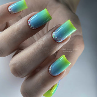05 Bottle Gel 10ml NAILS OF THE DAY