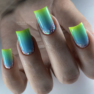 05 Bottle Gel 10ml NAILS OF THE DAY