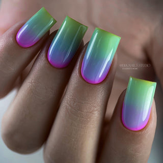 05 Bottle Gel 10ml NAILS OF THE DAY