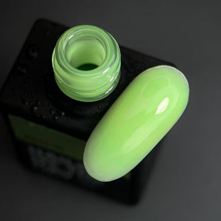 06 Bottle Gel 10ml NAILS OF THE DAY