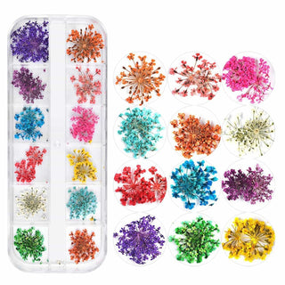 ECHTE TROCKENBLUMEN 12 Farben NailArt