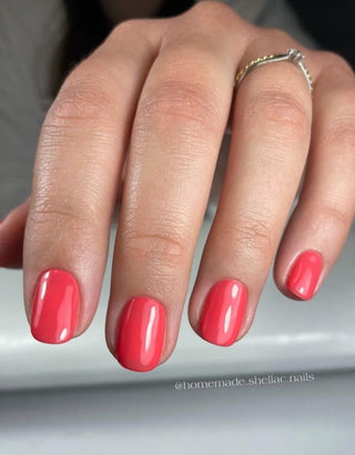 Wish - Color Gel 15ml AMERICAN CREATOR