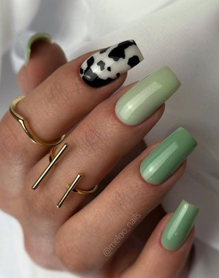 BASIL - Tint Base Coat 15ml HEYLOVE