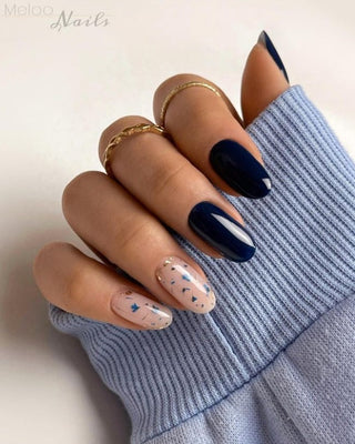ECHTE TROCKENBLUMEN 12 Farben NailArt