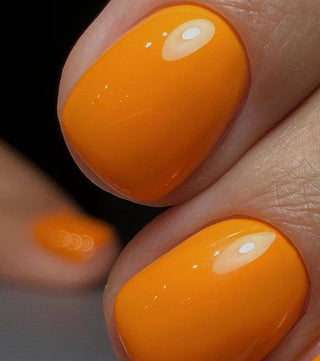 Prairie - Color Gel 15ml AMERICAN CREATOR