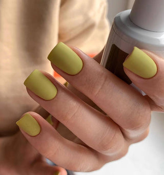 Olive - Color Gel 15ml AMERICAN CREATOR
