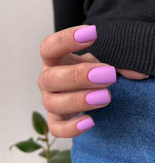 Timidity - Color Gel 15ml AMERICAN CREATOR