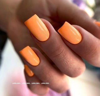 Salmon - Color Gel 15ml AMERICAN CREATOR