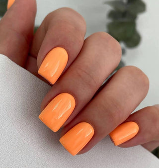 Salmon - Color Gel 15ml AMERICAN CREATOR
