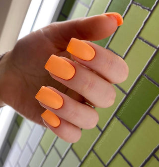 Salmon - Color Gel 15ml AMERICAN CREATOR