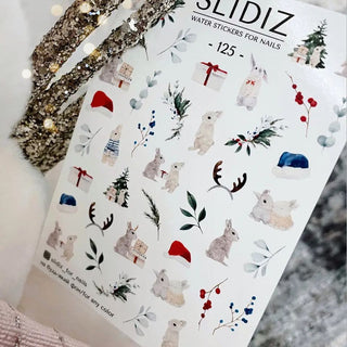 125 - SLIDIZ
