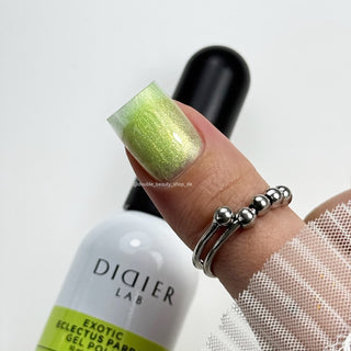 ECLECTUS PARROT EXOTIC — UV Nagellack 10 ml DIDIER LAB