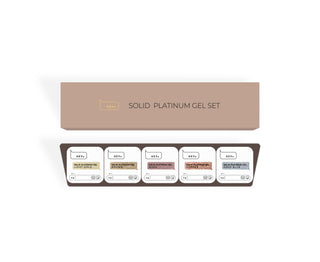 Solid Platinum Art Gel - Collection Set (5x5g) HEYLOVE