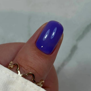 Violet Iris - BUILDER BOTTLE GEL BBIO (OHNE HEMA) 15 ml Didier Lab