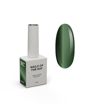 17 KOREAN CAT EYE - GEL POLISH 10ml NAILS OF THE DAY