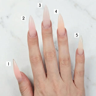 Perfect Blend - BABY BOOMER SET (5st x 2g) LYNIS NAILS