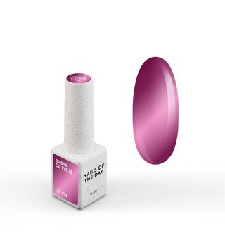 23 KOREAN CAT EYE - GEL POLISH 6ml NAILS OF THE DAY